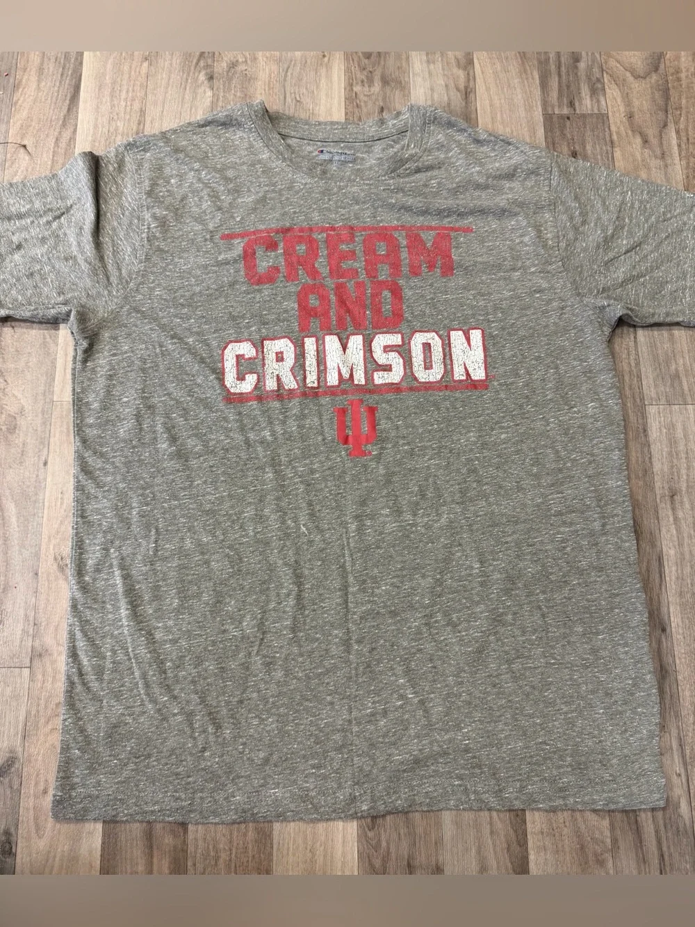 Champion Heather Gray Tee with Red and White 'Cream and Crimson' Print XL - Picture 2 of 7